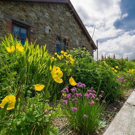 Tyn Rhos Country House Карнарфон Екстериор снимка