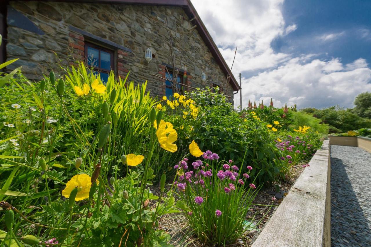 Tyn Rhos Country House Карнарфон Екстериор снимка