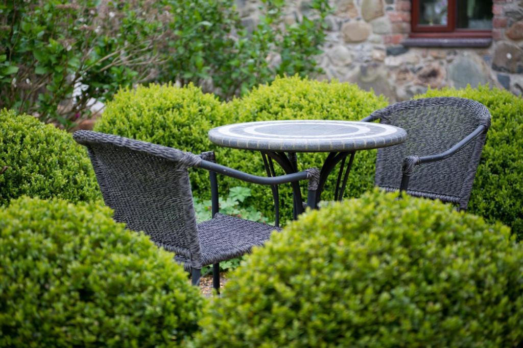 Tyn Rhos Country House Карнарфон Стая снимка
